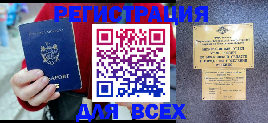 где прописаться в Ельне